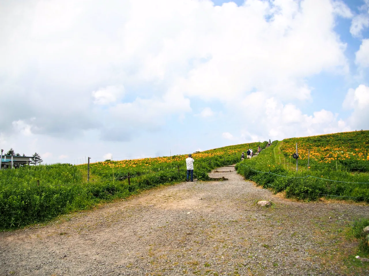 Featured image of post 登山しなくても楽しめる｜八島湿原・車山・ビーナスラインのゆる登山案内