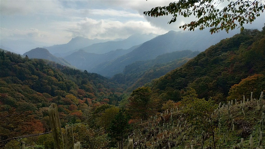 Featured image of post 【八ヶ岳アクセス】上信越道vs国道254号！佐久市以南なら下道が正解？距離・時間・補給を徹底比較